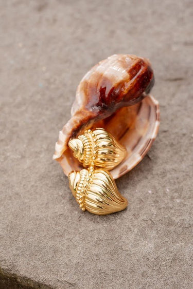 James Conch Shell Earring - 18k Plated Gold - Belle of the Ball Collection - Lisi Lerch