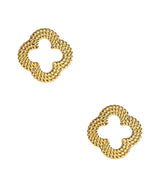 Lisi Lerch Bryn Stud - Gold