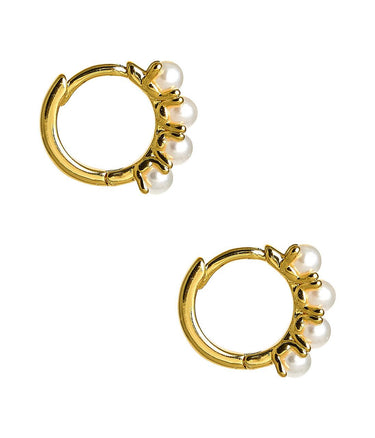 Lisi Lerch Luxe Loop - Huggie Hoop - 18k Gold Plated - Jess Fay Collection
