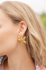 Marina Starfish Stud Earring - 18k Gold Plated - Lisi Lerch