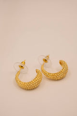 Gold Small Hoop with Gold Studded Details -Sample Sale- Final Sale - Lisi Lerch