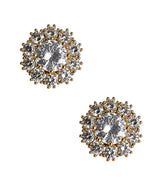 Lisi Lerch Amy Earrings - Rhinestone Stud - Amy Littleson Collection  