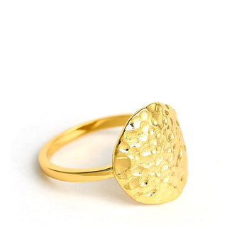 Lisi Lerch Golden Ripple Ring - 18k Gold Plated - Jess Fay Collection 
